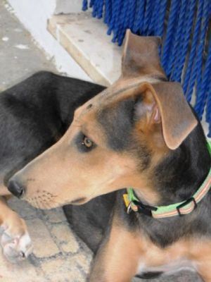 Blues – Superboy im Familienlandeanflug!