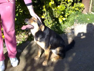 Donna – Eine „Donna“, wie man sie sich nicht besser wünschen kann!