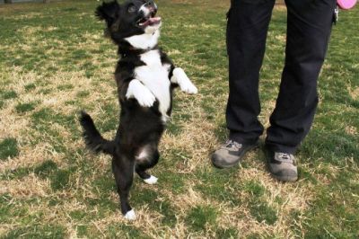 Pebbles – Fräulein „Achtung, hier komm ich“!