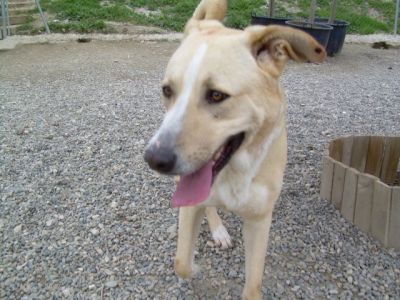 Africa – Schönheit, Anhänglichkeit, Familiensinn … was will Familie mehr?