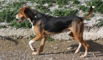 Oscar – Und hier steht Mr. Beautiful am Start!