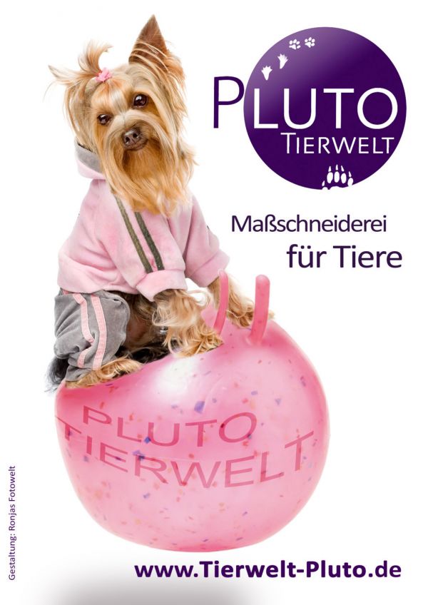 Pluto Tierwelt auf der Kunstnacht Passau 2014!