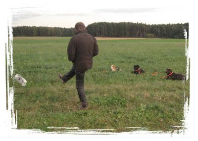 Rund um den Hund Hundeschule-Salostowitz