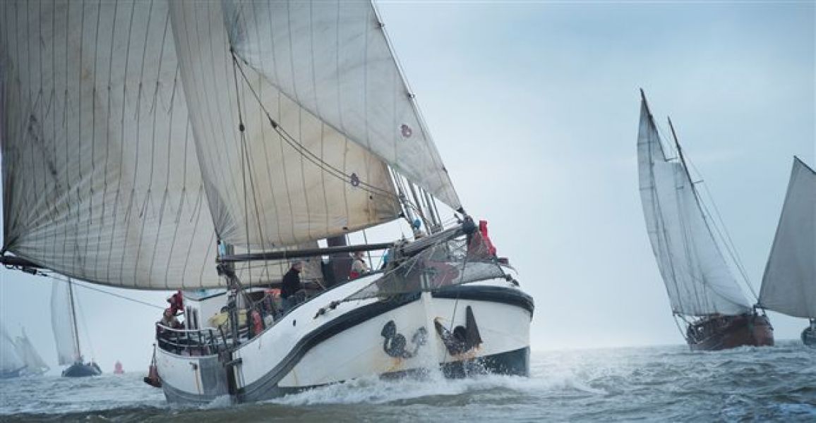 Segeln in der schönen Natur der Niederlande auf Wattenmeer und IJsselmeer