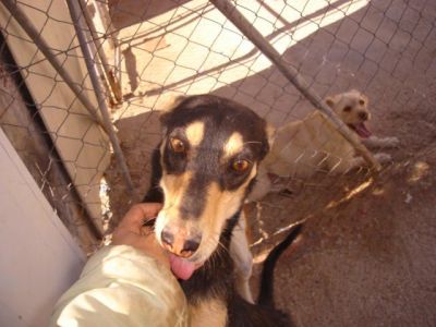 Careto – Optisch außergewöhnlicher Kinderfreund in der Familienoffensive!