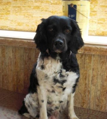 Tula – Ruhige, unglaublich anschmiegsame Schönheit auf Familieneroberung!