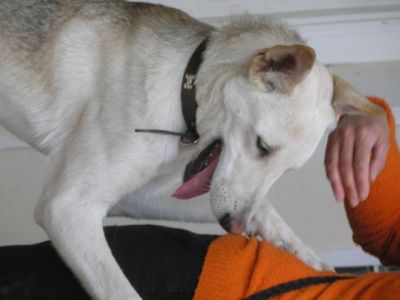 Lina – Bildschönes Beuteschema jeder fröhlichen Familie!