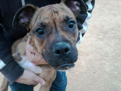 Conchita – Fräulein „Hier komm ich“ im Familienfieber!