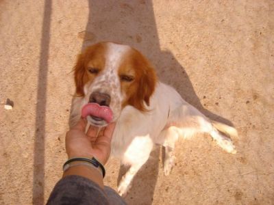 Lalo – Kleines, liebevolles Lalo Küsschen gefällig?