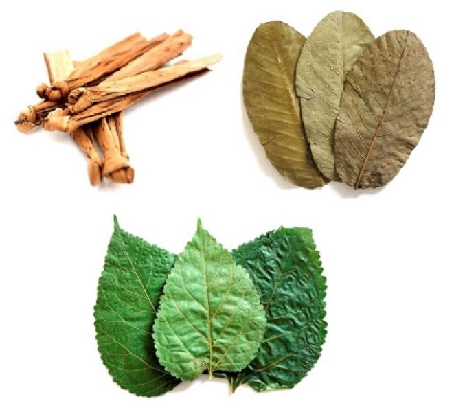 Naturfutter / Garnelenfutter für Krebse, Garnelen Fische im Aquarium