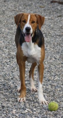 Oscar – Und hier steht Mr. Beautiful am Start!