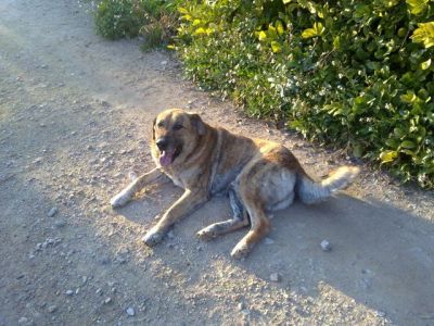 Martin – Mit Ruhe & Gemütlichkeit … erobert man ein Coucheckchen!