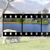 Digitalisieren (scannen) Dias, Super8, Tonbänder, Video etc  ( vossuchen )