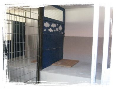 Hundepension-Salostowitz