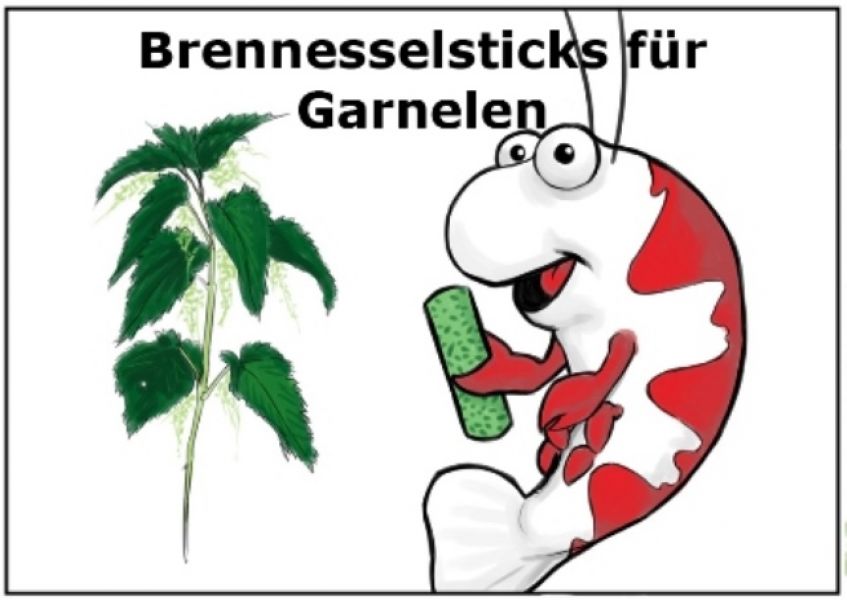 Brennessel Sticks 100g für Garnelen und Krebse im Nanoaquarium