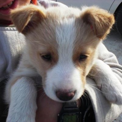 Kenneth – Achtung, Achtung, unheilbare Verliebungsgefahr!