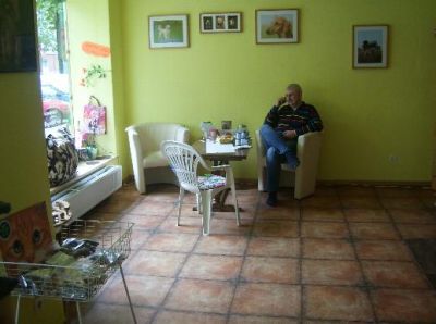 Hunde & Katzensalon Wende