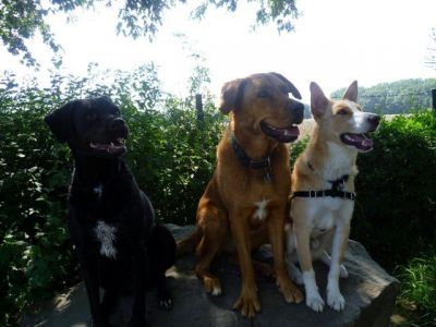 Kenny – Schicker, lebensfroher Herzensbrecher auf Familienpirsch!