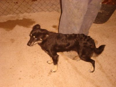 Cuenki – Blaues und braunes Auge schauen neugierig Richtung Familiencouch!