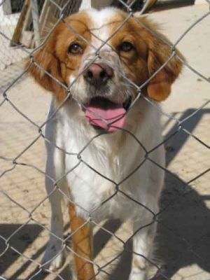 Lalo – Kleines, liebevolles Lalo Küsschen gefällig?