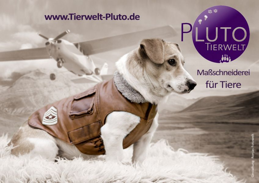 Pluto Tierwelt auf der Kunstnacht Passau 2014!