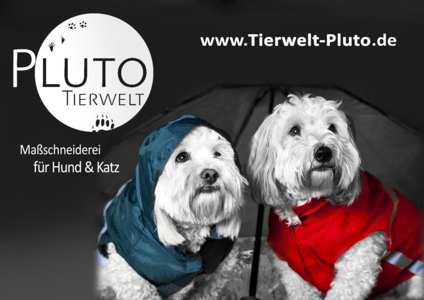 Pluto Tierwelt auf der Kunstnacht Passau 2014!