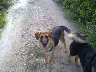 Nuca – Fröhliches Sunnygirl auf der Pirsch nach unternehmungslustiger Familie!