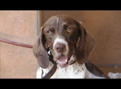 Jara – Wo sind 47 Zentimeter Frohsinn und Liebe herzlich willkommen?