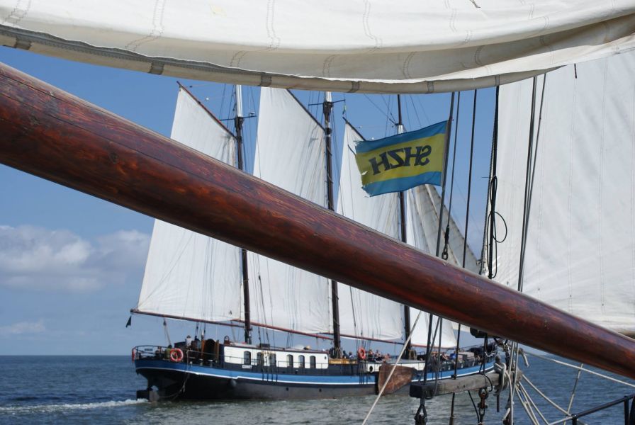 Segeln in der schönen Natur der Niederlande auf Wattenmeer und IJsselmeer