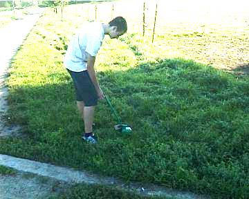 Super Angebot für alle Hundebesitzer