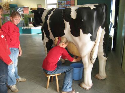 Vermietung von Attraktionen z.B. Bullriding, Hüpfburg uvm.