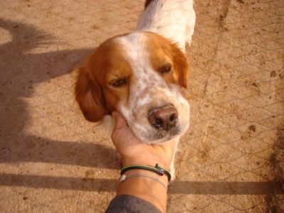 Lalo – Kleines, liebevolles Lalo Küsschen gefällig?