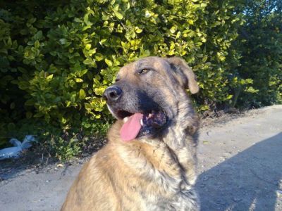 Martin – Mit Ruhe & Gemütlichkeit … erobert man ein Coucheckchen!