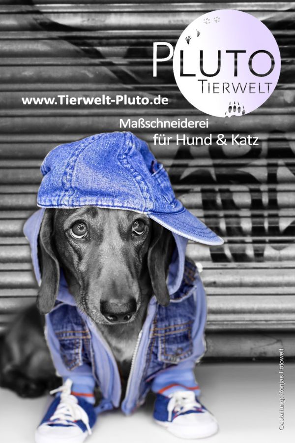 Pluto Tierwelt auf der Kunstnacht Passau 2014!