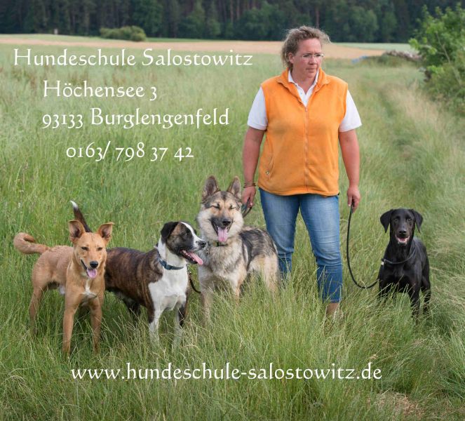 Hundepflege-Hundezentrum-Oberpfalz