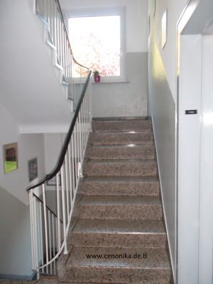 Treppenhausreinigung-Hausflurreinigung, wir beraten Sie gern....
