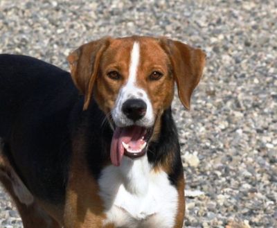 Oscar – Und hier steht Mr. Beautiful am Start!