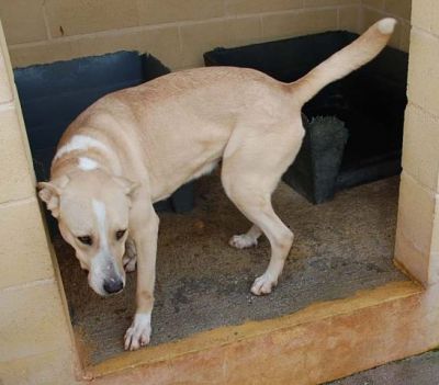 Africa – Schönheit, Anhänglichkeit, Familiensinn … was will Familie mehr?