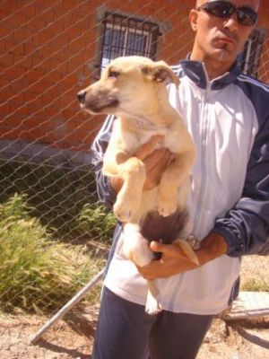 Avellana – Blondes, entzückendes Kuschelmonsterbaby auf Familienkurs!