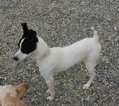 Sparrow – Hier kommt fröhlicher, bildschöner Sonnenschein ins Haus!