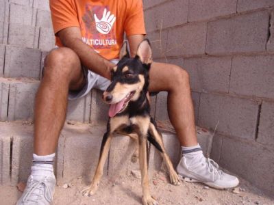 Careto – Optisch außergewöhnlicher Kinderfreund in der Familienoffensive!