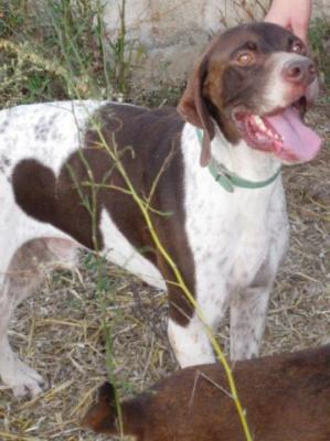 Schumacher – Liebevoller Formel 1 Pilot sucht passende Couch!