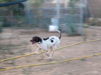 Schumacher – Liebevoller Formel 1 Pilot sucht passende Couch!