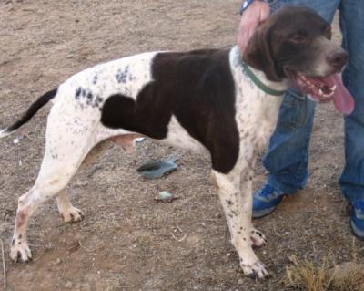 Schumacher – Liebevoller Formel 1 Pilot sucht passende Couch!