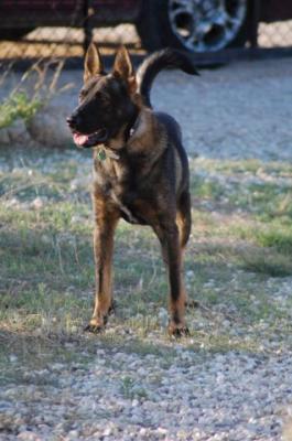 Black – Ganz viel Potential wartet auf seine Couch!