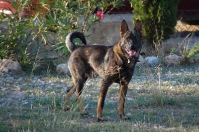 Black – Ganz viel Potential wartet auf seine Couch!