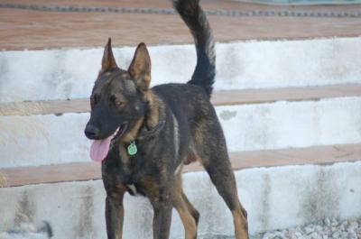 Black – Ganz viel Potential wartet auf seine Couch!