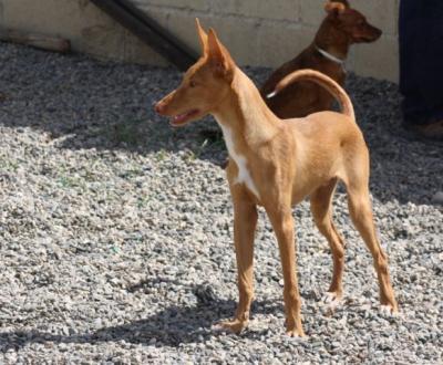 Agoro – Das ist Liebe auf den ersten Blick!