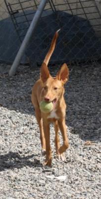 Agoro – Das ist Liebe auf den ersten Blick!