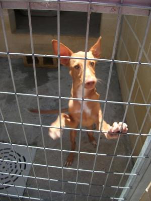 Agoro – Das ist Liebe auf den ersten Blick!